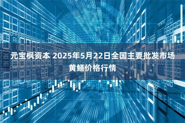 元宝枫资本 2025年5月22日全国主要批发市场黄鳝价格行情