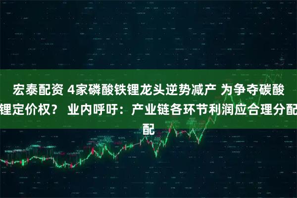 宏泰配资 4家磷酸铁锂龙头逆势减产 为争夺碳酸锂定价权？ 业内呼吁：产业链各环节利润应合理分配